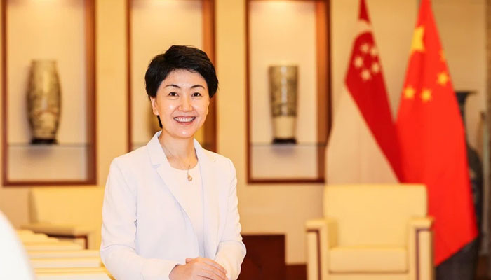 چین کی ترقی پاکستان کی ترقی ہے، پہلے مرحلےکی کامیابی کے بعد سی پیک کا دوسرامرحلہ شروع کر رہے ہیں: چینی نائب وزیر