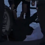 بھارتی وزیر دفاع جرمنی میں آبدوز کے اندر جاتے ہوئے گر گئےٍ